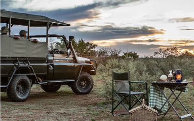 Gourmet Picnic in the Wild: A Real Experience | Avula Safaris