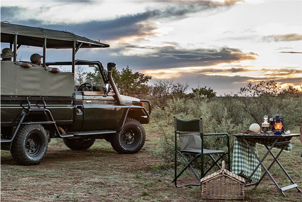 Gourmet Picnic in the Wild: A Real Experience | Avula Safaris 1 Lodge Activities 3