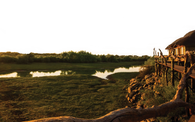 Reflections on the Safari Lifestyle | Avula Safaris
