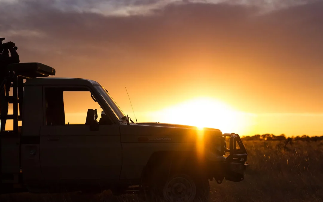 What makes a 5 star hunting safari