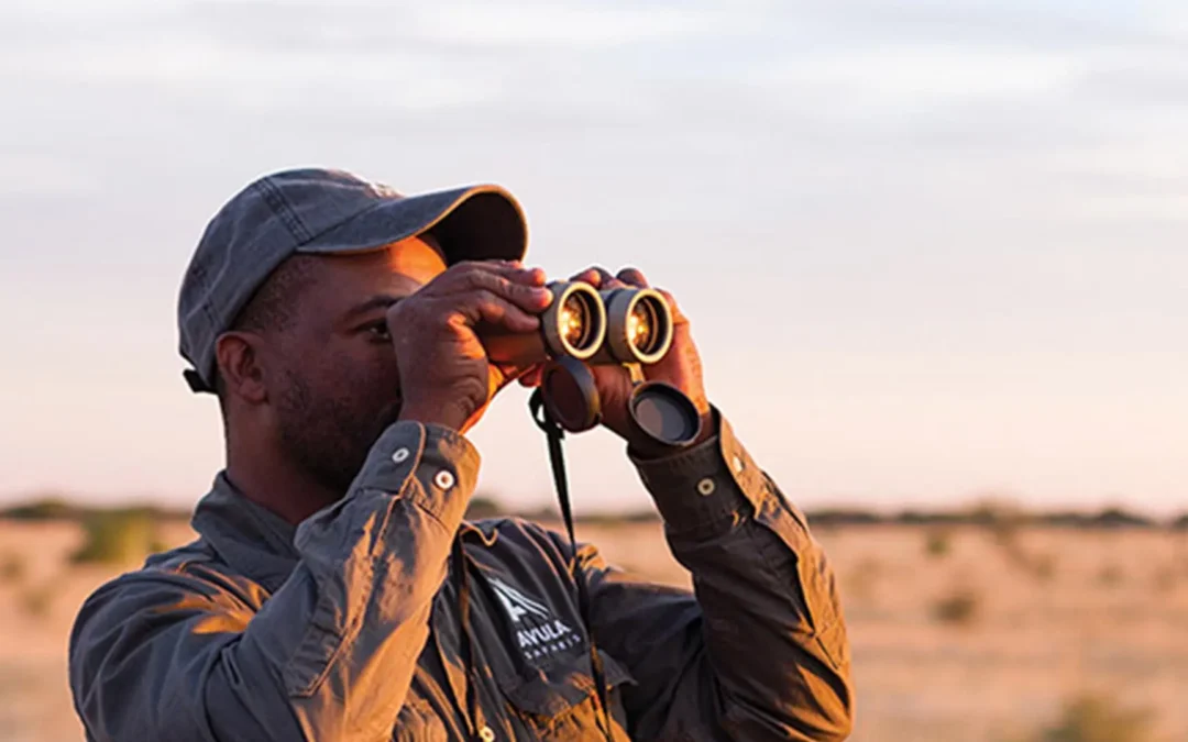 Tracking Collared Wildlife: What It’s Really Like | Avula Safaris