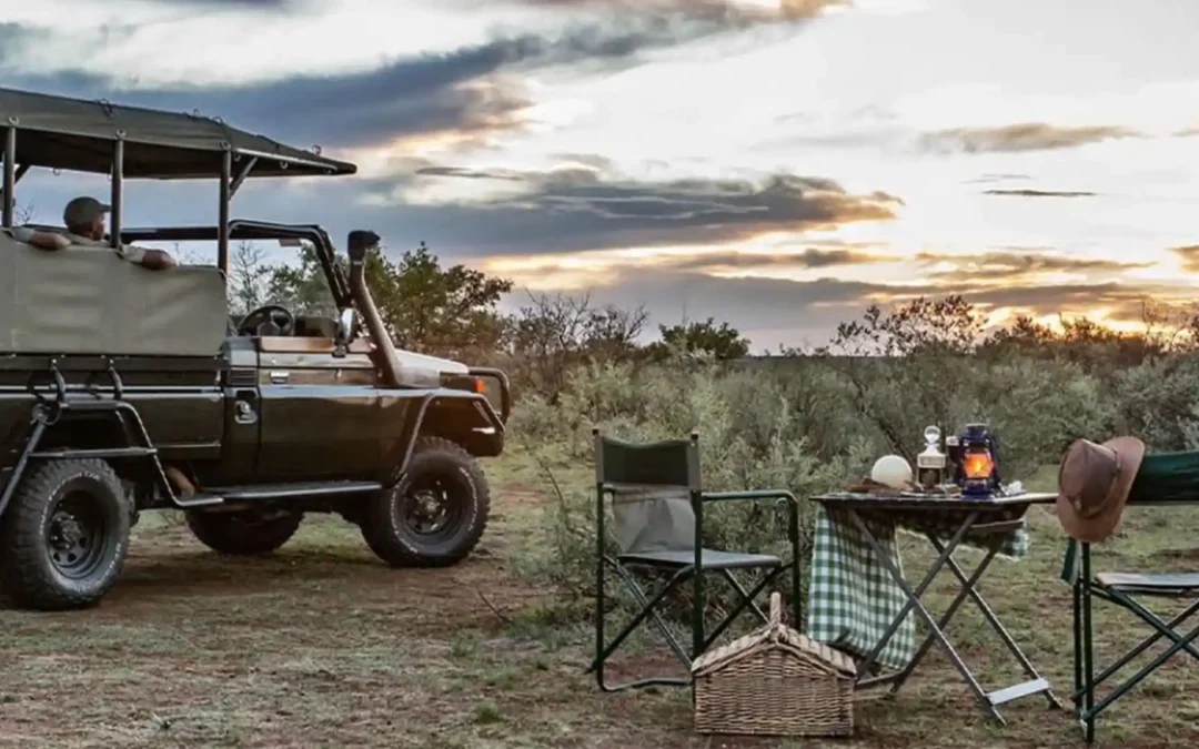 The Best Daypacks and Carry Gear for Game Drives | Avula Safaris