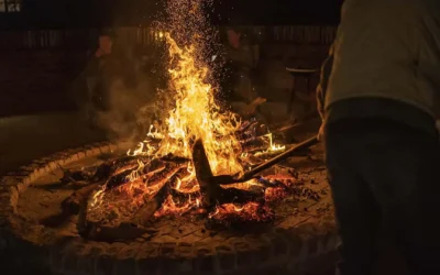 Fire Pit Feasts: Stories & Meals Under the Stars | Avula Safaris
