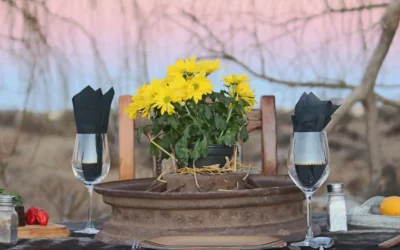 Pairing South African Wines with Wild Game | Avula Safaris