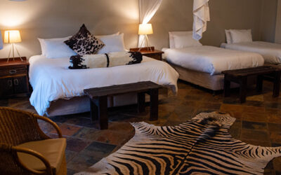 Complete Safari Packing List for Luxury Travel | Avula Safaris