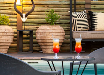Behind the Bar: Safari-Inspired Cocktails | Avula Safaris
