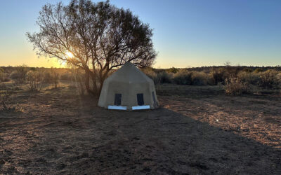 How to Book Private Flights or Transfers to Safari Lodges | Avula Safaris