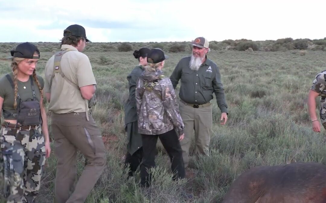 Private Safari vs. Group Safari: What’s Best? | Avula Safaris