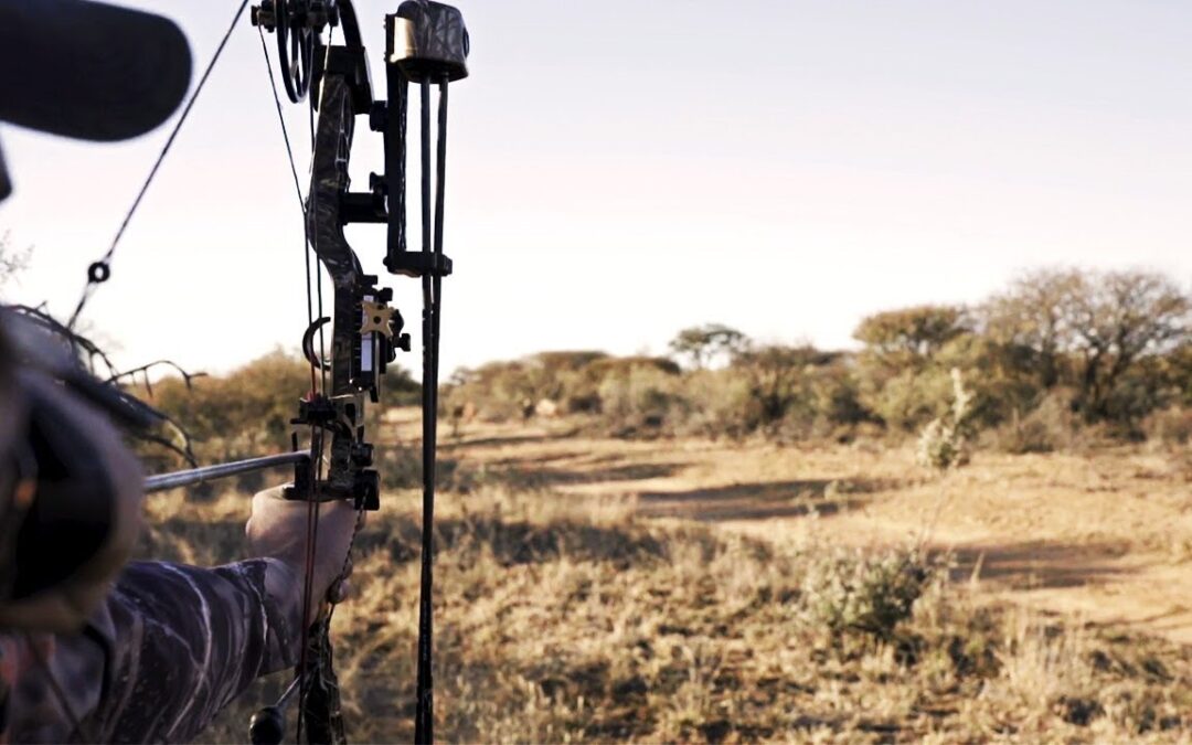 The Importance of Fair Chase in South Africa | Avula Safaris